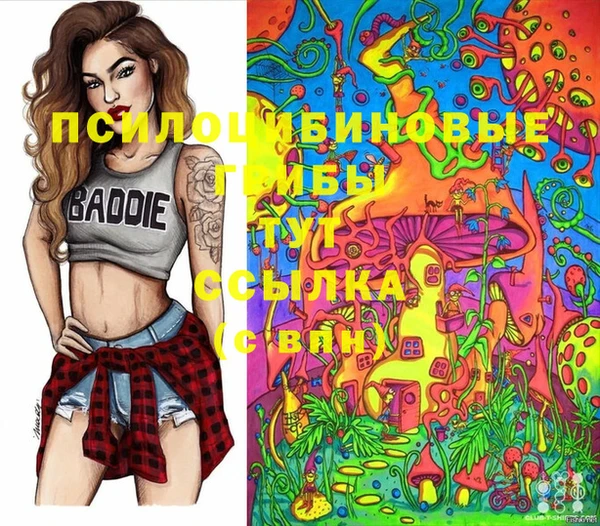 Альфа ПВП Козельск