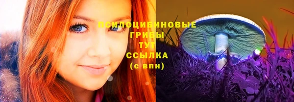 Альфа ПВП Козельск