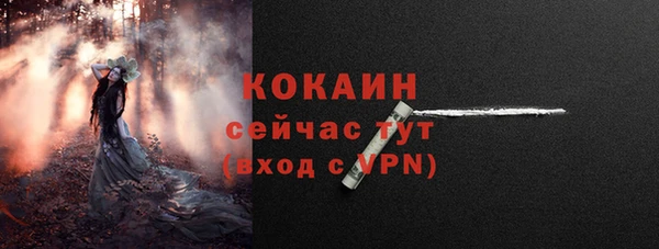 дживик Кодинск